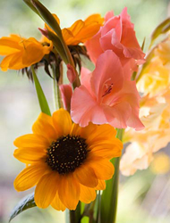 Época de flor... Época de flor...